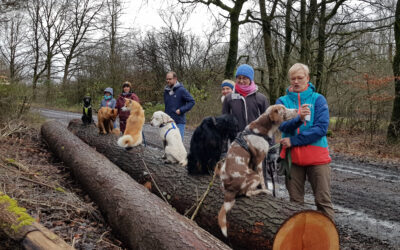 Krimiwanderung Dezember 2019