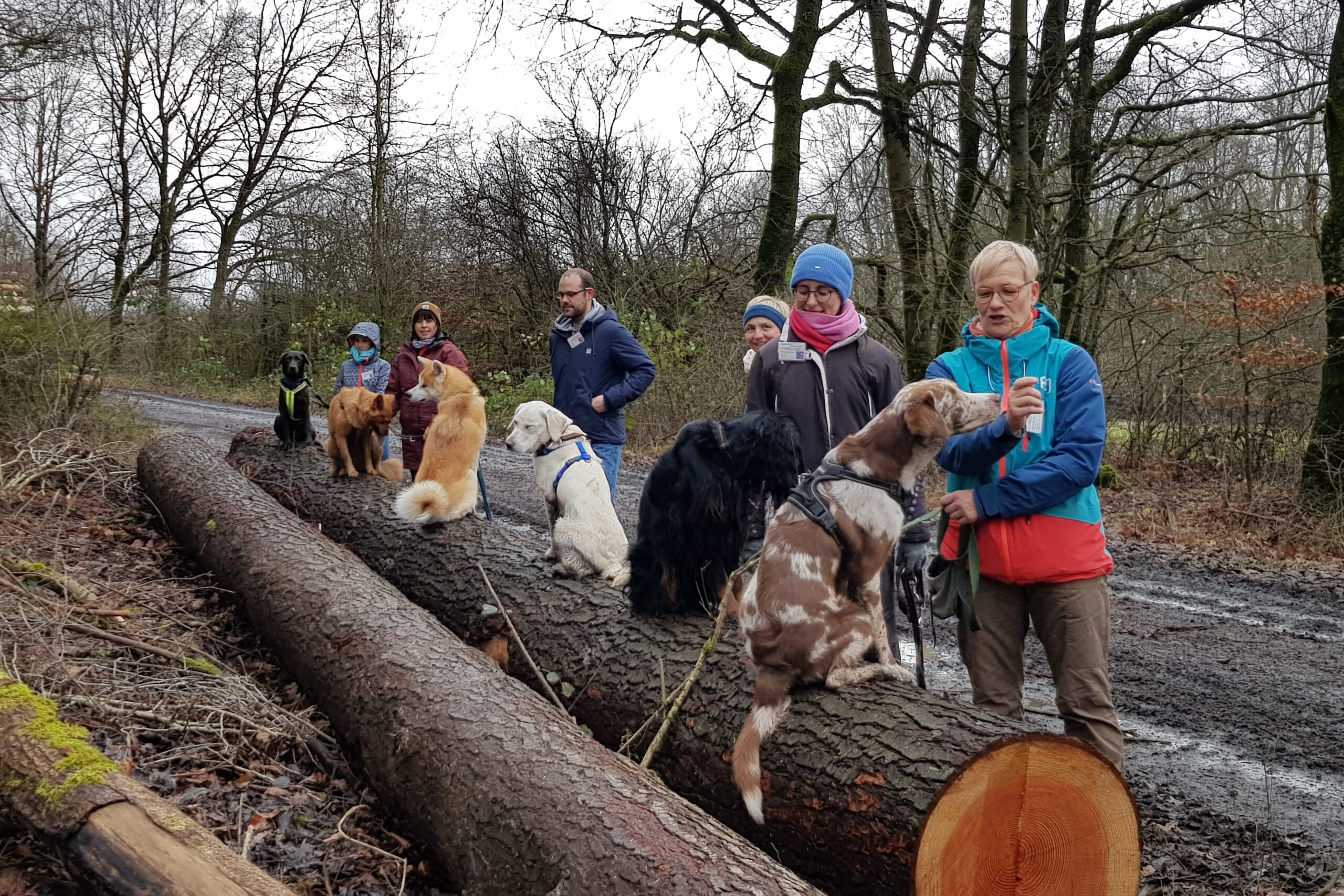 Krimiwanderung Dezember 2019