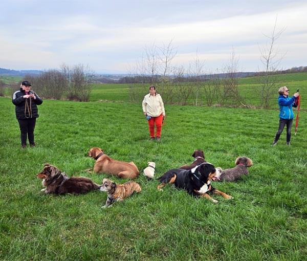 Jetzt entscheidet sich, ob ihr Welpe ein umweltsicherer und sozialkompetenter Hund wird